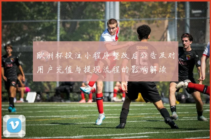 欧洲杯投注小程序整改后公告及对用户充值与提现流程的影响解读